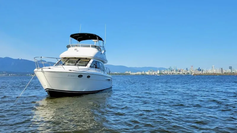 Slide: The Image of Meridian Meridian 341 2005 - 5479814