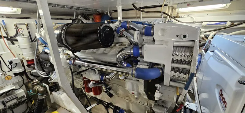 Slide: The Image of Neptunus Royale 55 2006 - 5481216