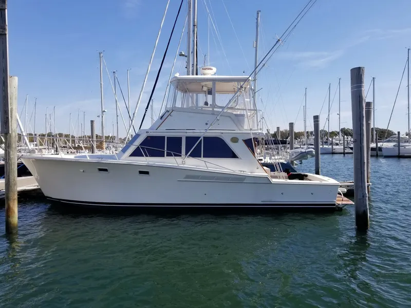 The Image of Jersey Dawn 1985 - 5482854