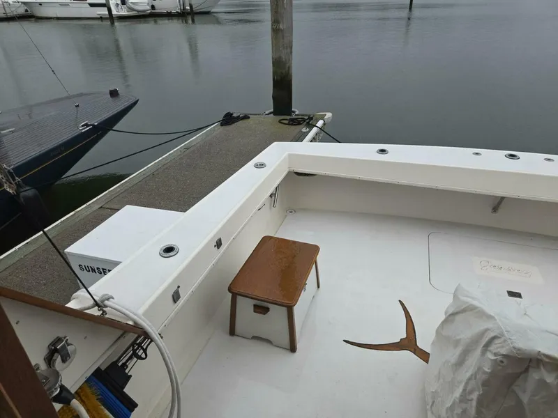 Slide: The Image of Jersey Dawn 1985 - 5490490