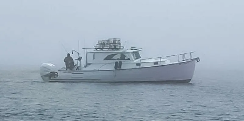 Slide: The Image of Devlin Red Salmon 33 2015 - 5484130
