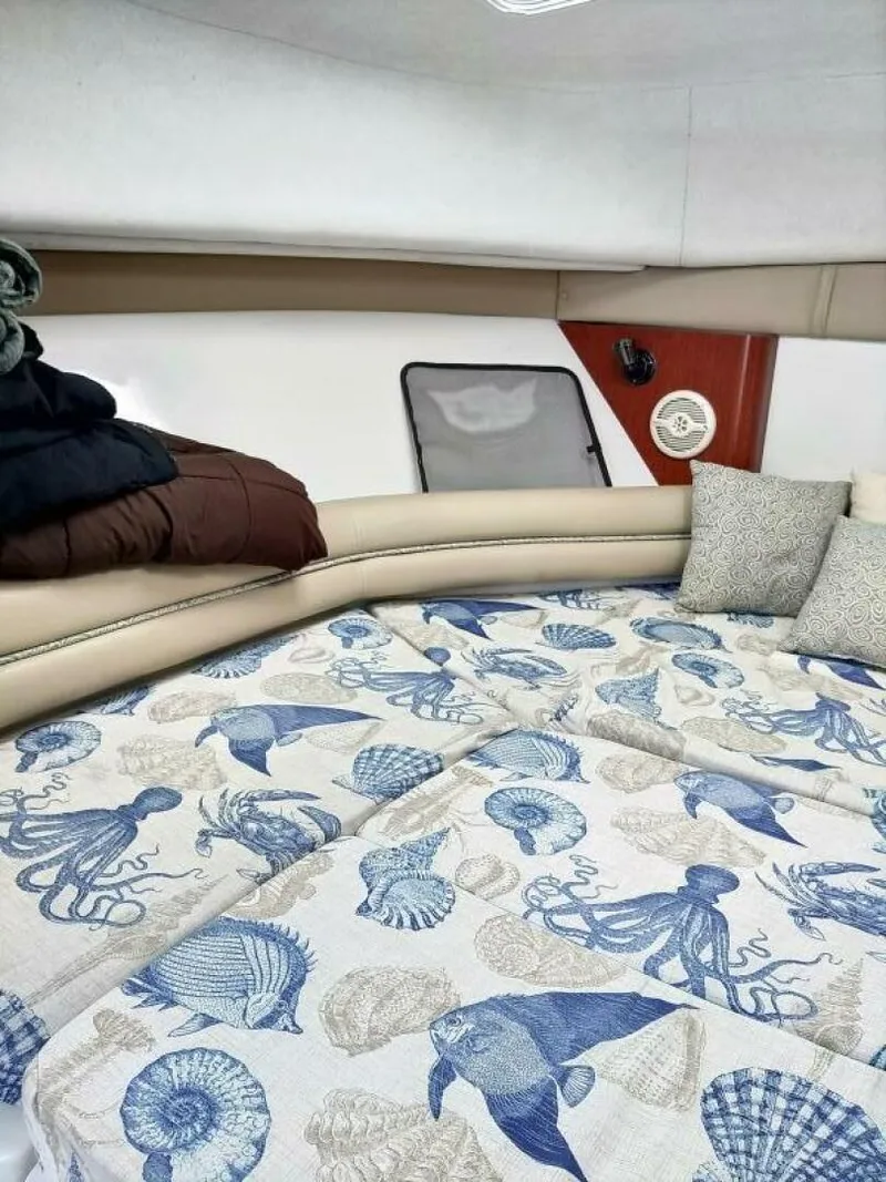 Slide: The Image of Pro-Line 32 Express Port Side view of forward v-berth - 5533926