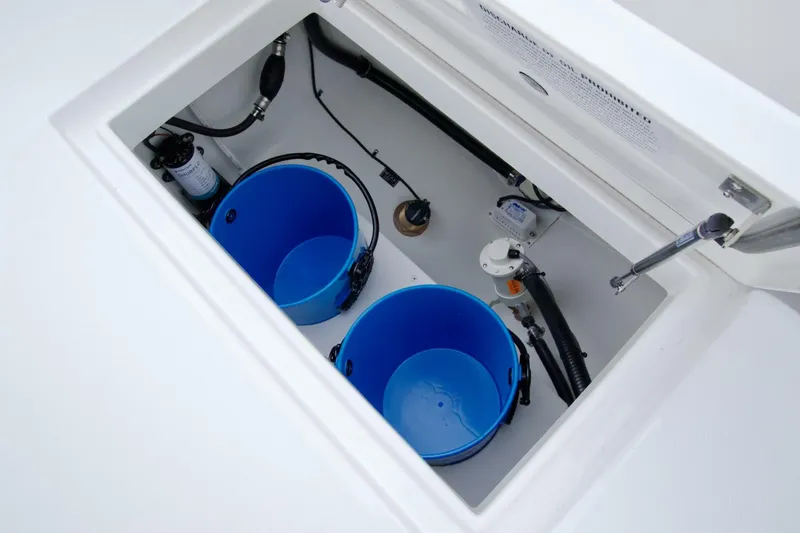 Slide: The Image of Regulator Marine 25 2026 - 5968498