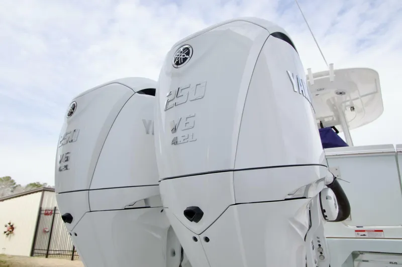 Slide: The Image of Regulator Marine 25 2026 - 5968477