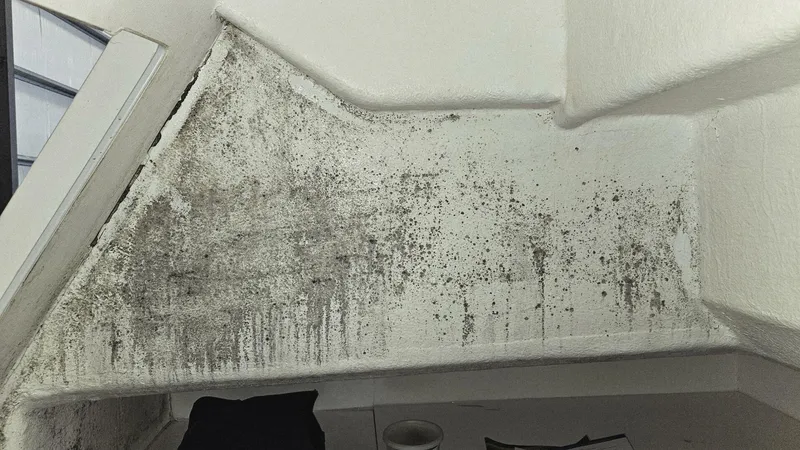 Slide: The Image of Sunseeker 53 Manhattan 2012 - 5871028