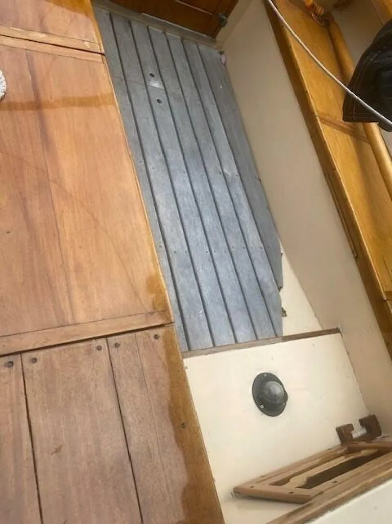 Slide: The Image of Golden Era Petrel 1990 - 5487269