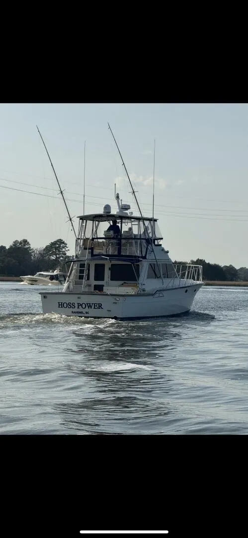 Slide: The Image of Ricker 48 1993 - 5487854