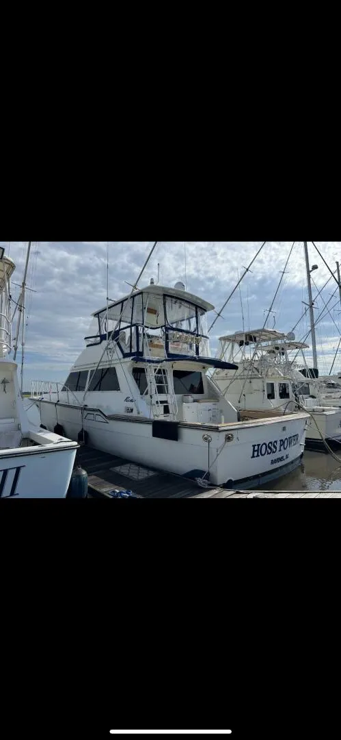 Slide: The Image of Ricker 48 1993 - 5487856