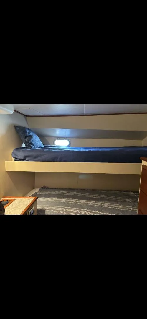 Slide: The Image of Ricker 48 1993 - 5487857