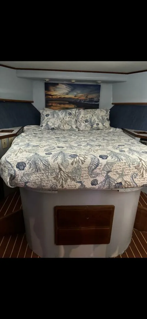 Slide: The Image of Ricker 48 1993 - 5487860