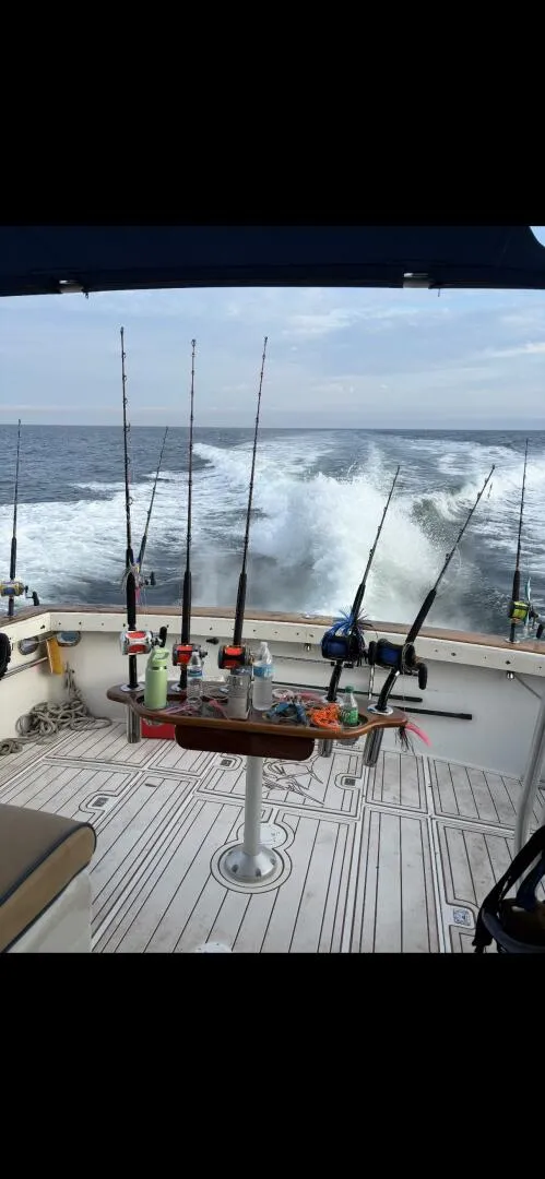 Slide: The Image of Ricker 48 1993 - 5487862