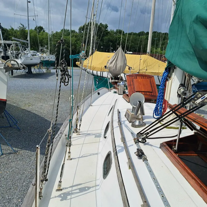 Slide: The Image of Ta Shing Baba 35 1980 - 5488574