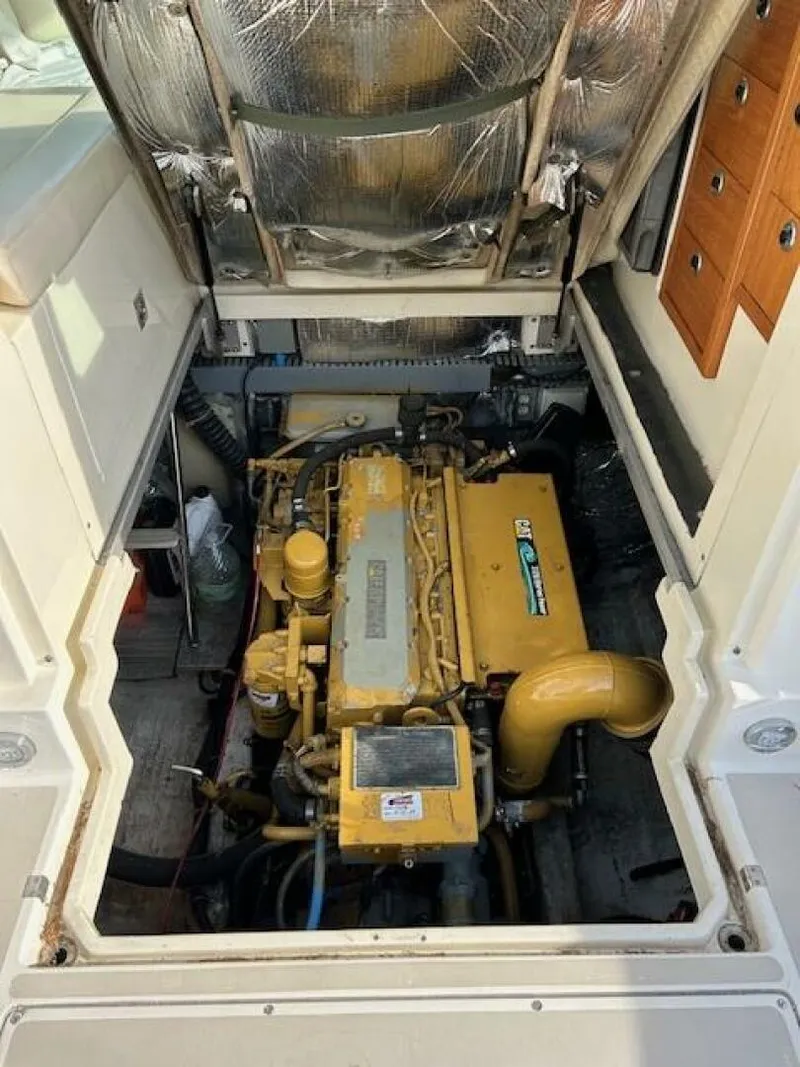 Slide: The Image of Albin 31 Tournament Express 1996 - 5488658