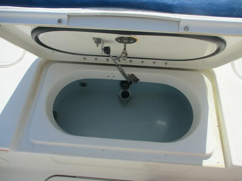 Slide: The Image of Hydra-Sports 23 2008 - 5488906