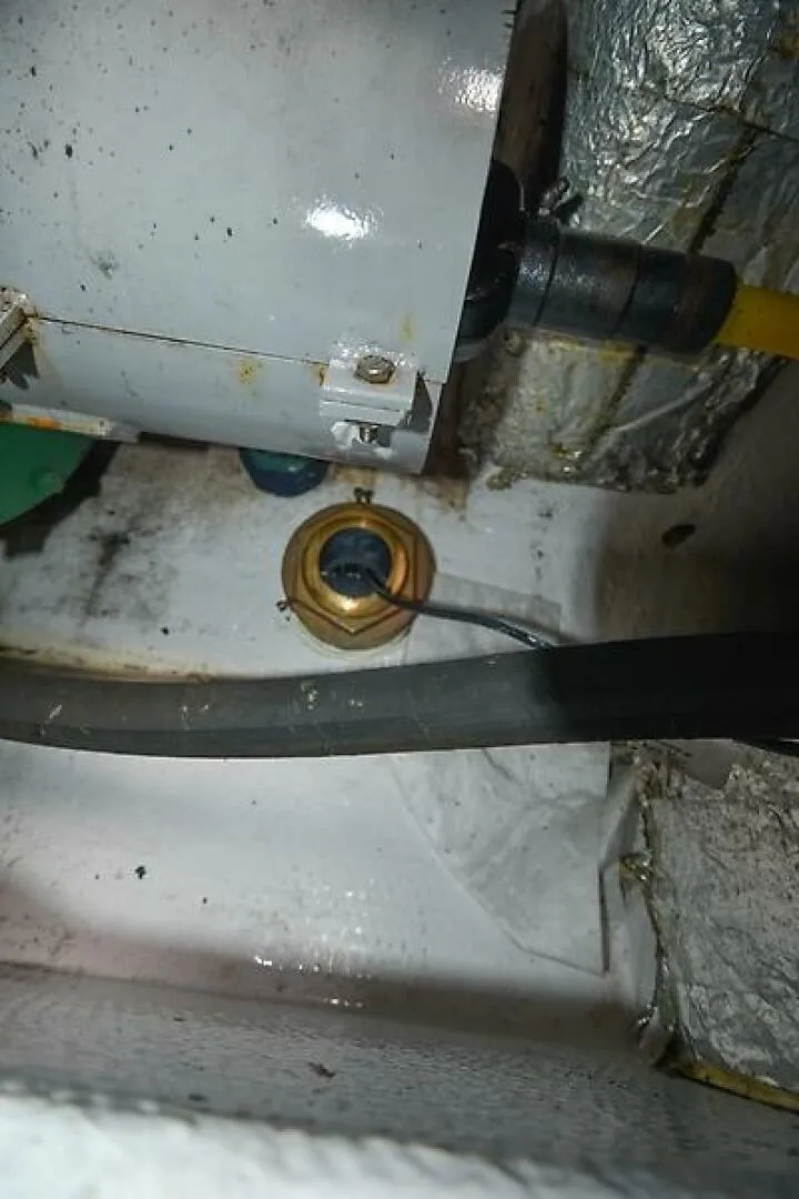 Slide: The Image of 0005271183 - 5490101