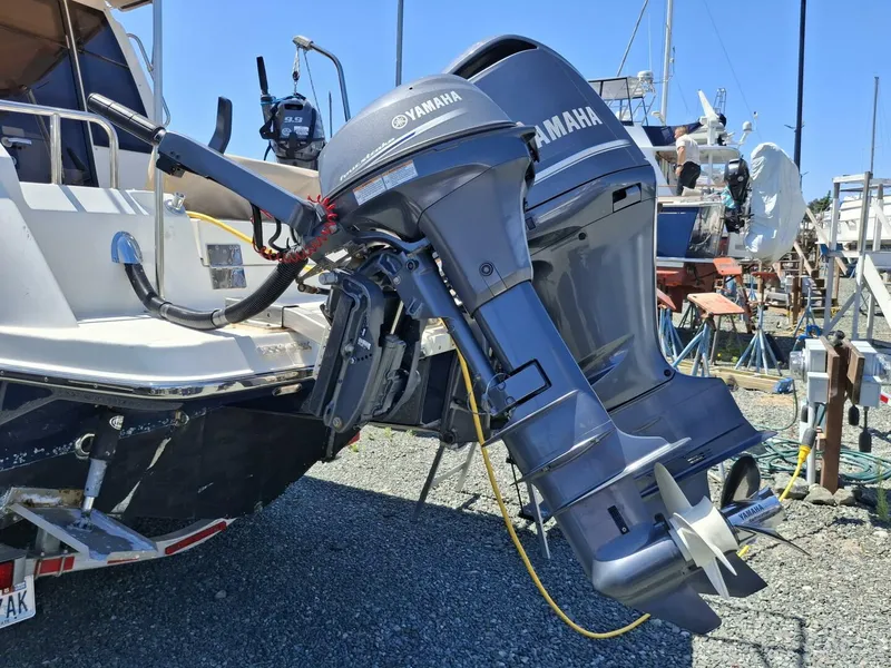 Slide: The Image of Cutwater 24C 2017 - 5490305