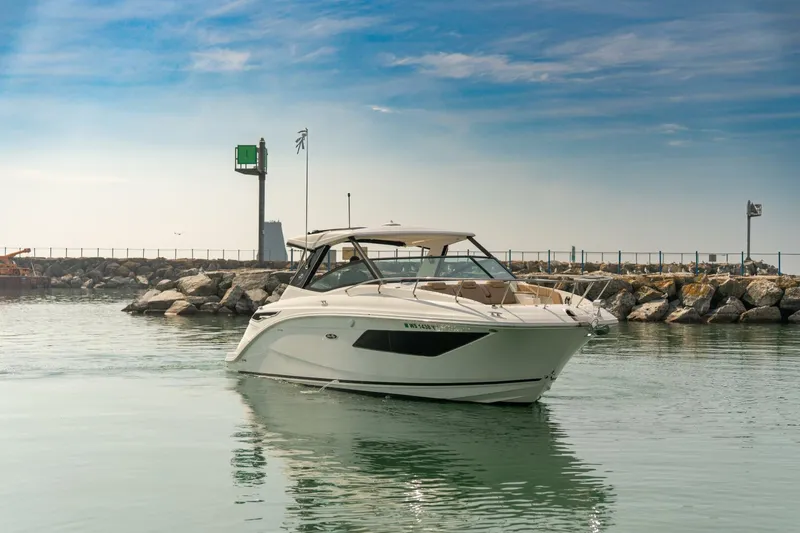 Slide: The Image of Sea Ray 320 Sundancer 2019 - 5493837