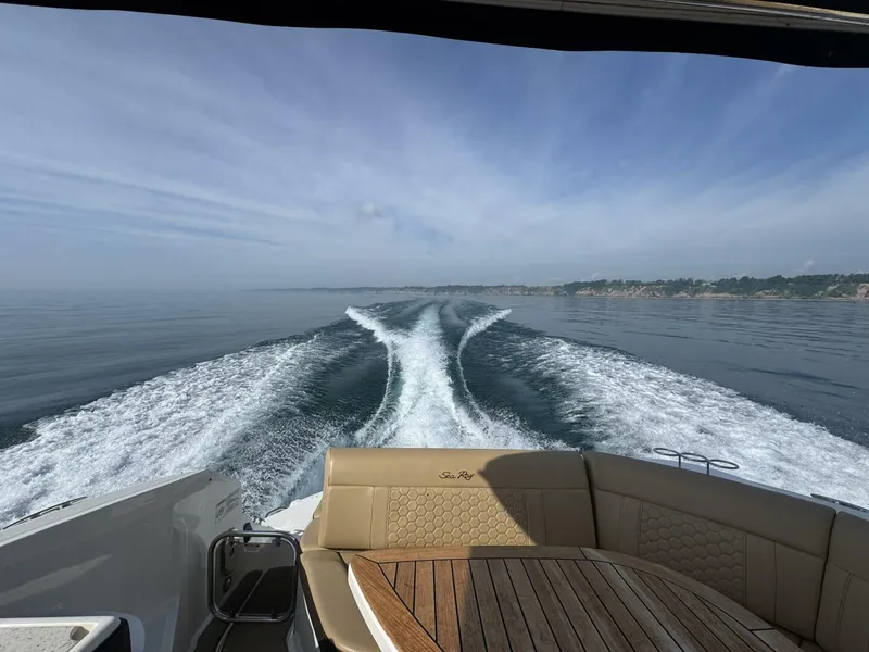 Slide: The Image of Sea Ray 320 Sundancer 2019 - 5493933