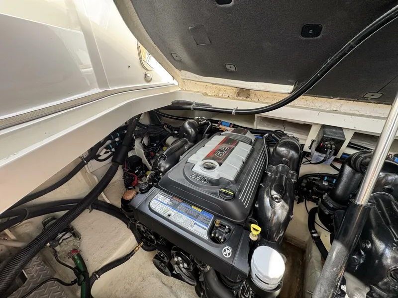 Slide: The Image of Sea Ray 320 Sundancer 2019 - 5493944