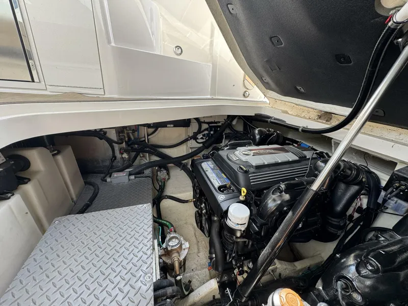 Slide: The Image of Sea Ray 320 Sundancer 2019 - 5493950