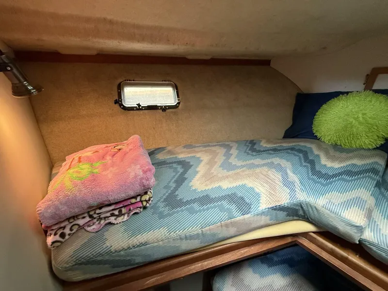 Slide: The Image of Carver 3207 1986 - 5494721