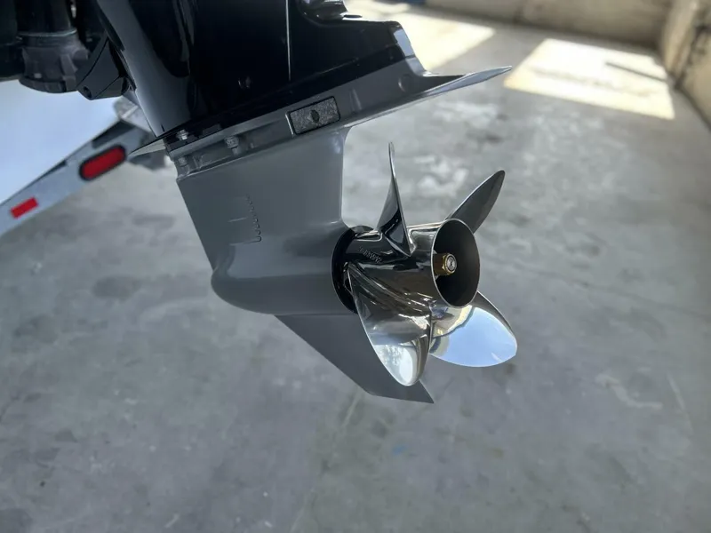 Slide: The Image of Sunsation 32 2021 - 5496873