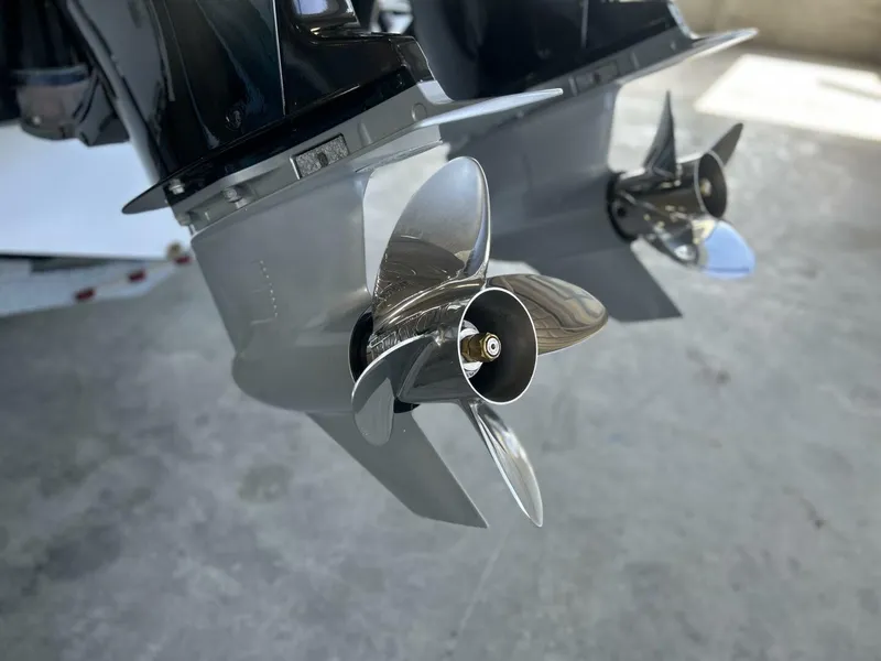 Slide: The Image of Sunsation 32 2021 - 5496876