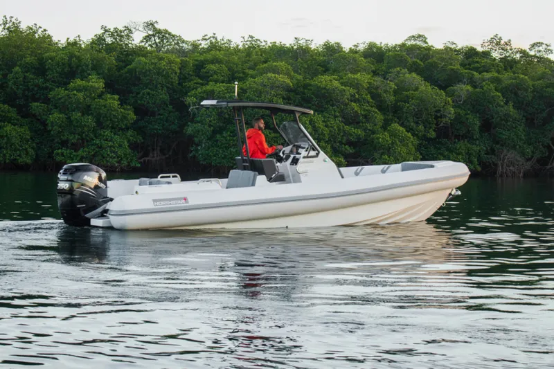 Slide: The Image of North Star Orion 8 2023 - 5499168