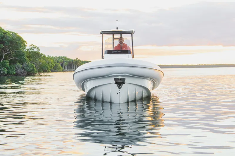 Slide: The Image of North Star Orion 8 2024 - 5499244