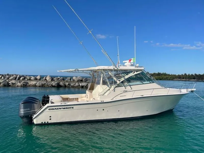 Slide: The Image of Starboard Profile - 5501073