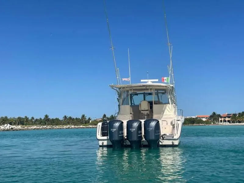 Slide: The Image of Stern - 5501075