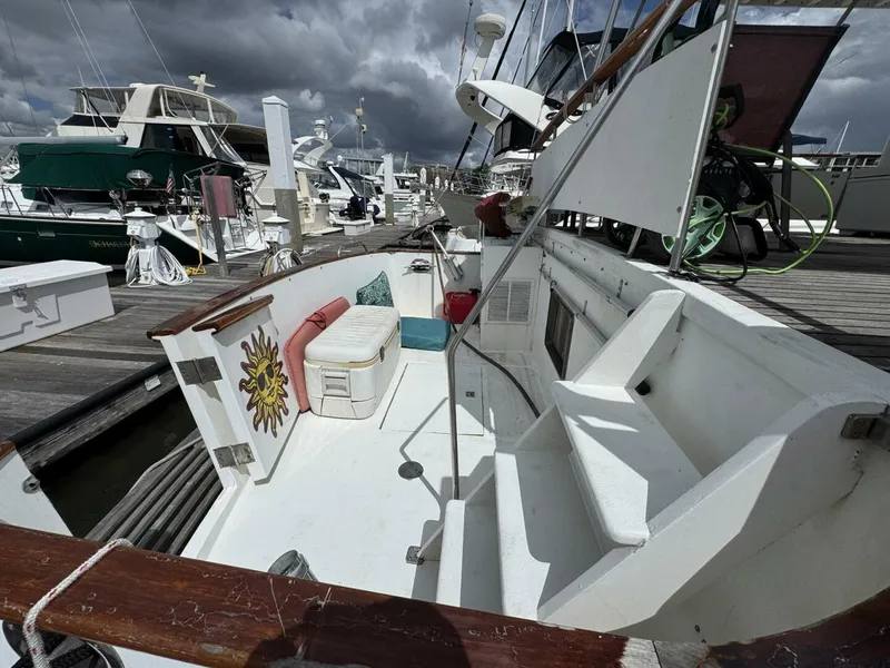 Slide: The Image of DeFever 49 CPMY 1989 - 5684941