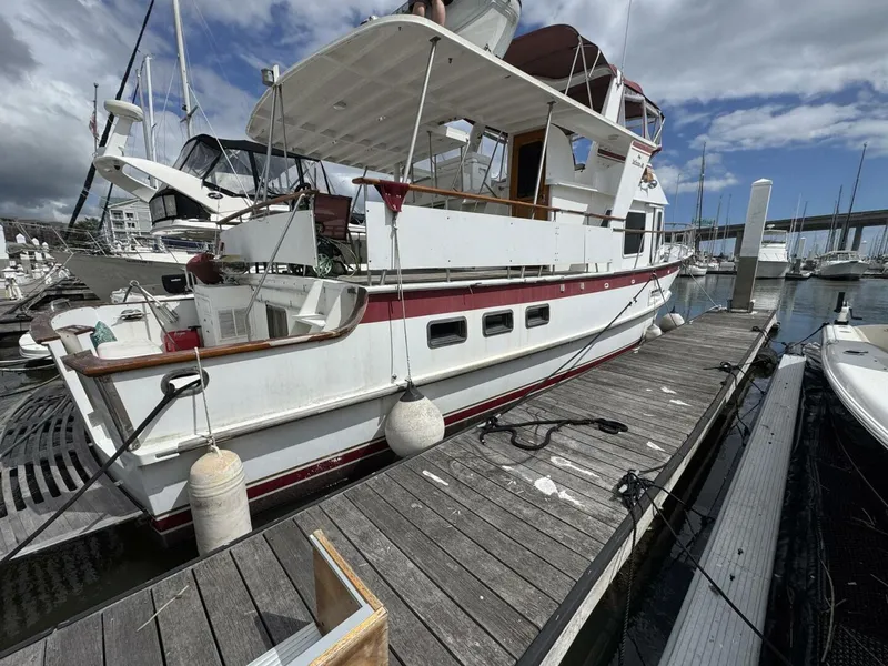 Slide: The Image of DeFever 49 CPMY 1989 - 5684916