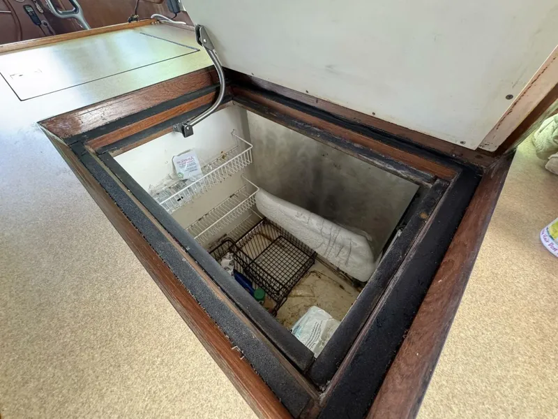 Slide: The Image of DeFever 49 CPMY 1989 - 5684989