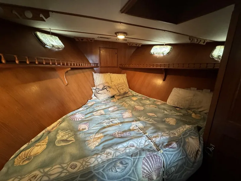 Slide: The Image of DeFever 49 CPMY 1989 - 5684998