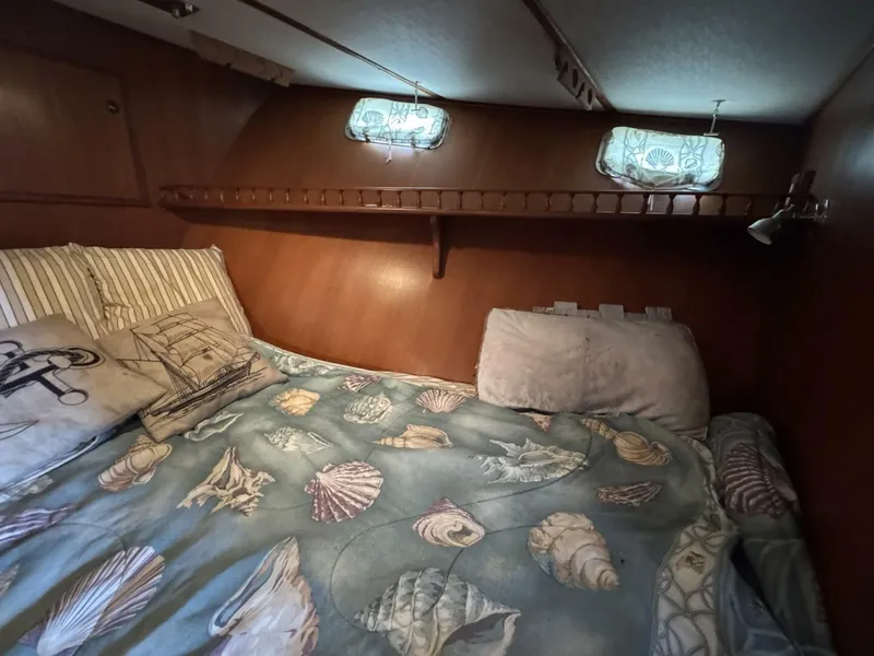 Slide: The Image of DeFever 49 CPMY 1989 - 5685000