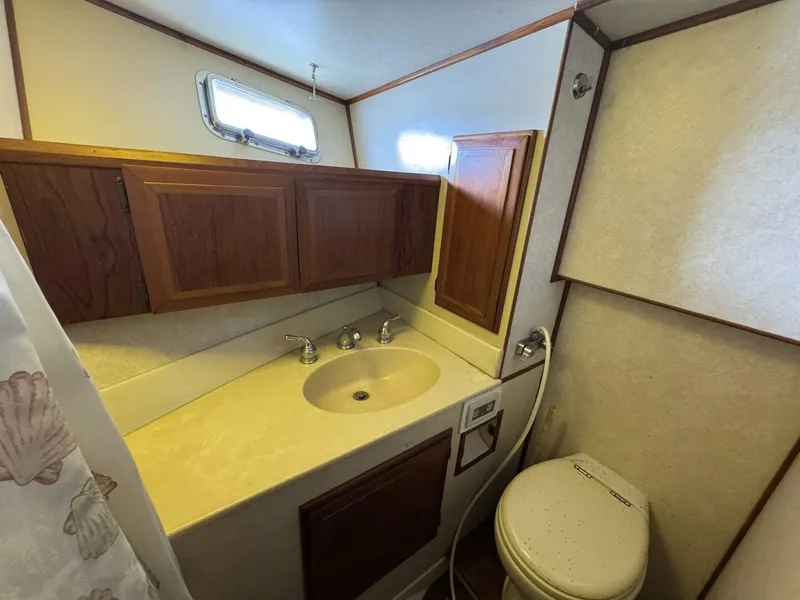 Slide: The Image of DeFever 49 CPMY 1989 - 5685004