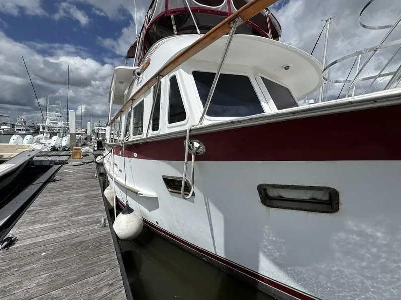 Slide: The Image of DeFever 49 CPMY 1989 - 5684924