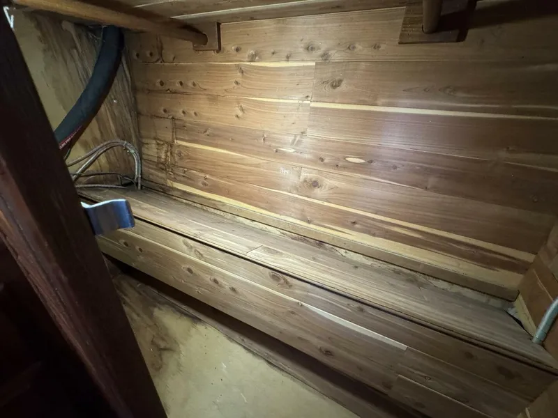 Slide: The Image of DeFever 49 CPMY 1989 - 5685019