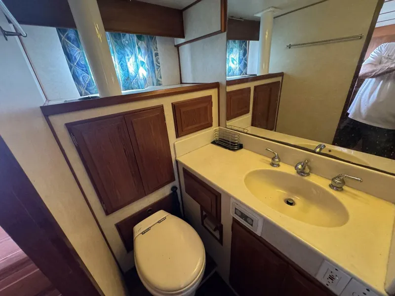 Slide: The Image of DeFever 49 CPMY 1989 - 5685021