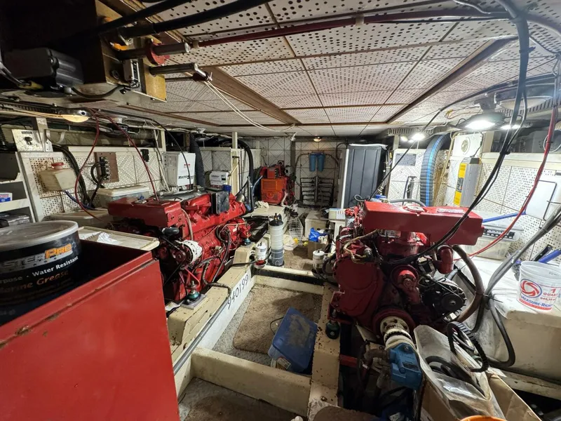 Slide: The Image of DeFever 49 CPMY 1989 - 5685040