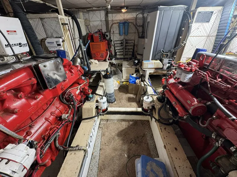 Slide: The Image of DeFever 49 CPMY 1989 - 5685043