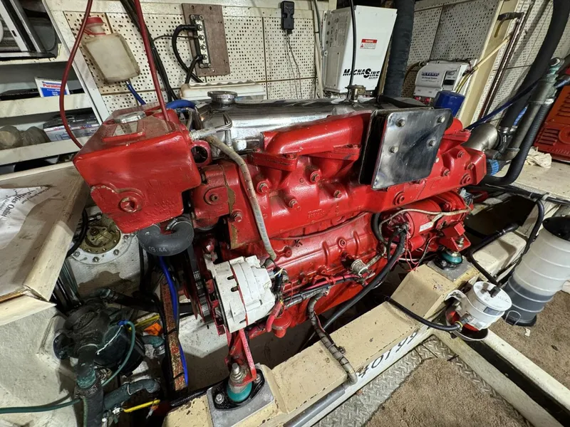 Slide: The Image of DeFever 49 CPMY 1989 - 5685044