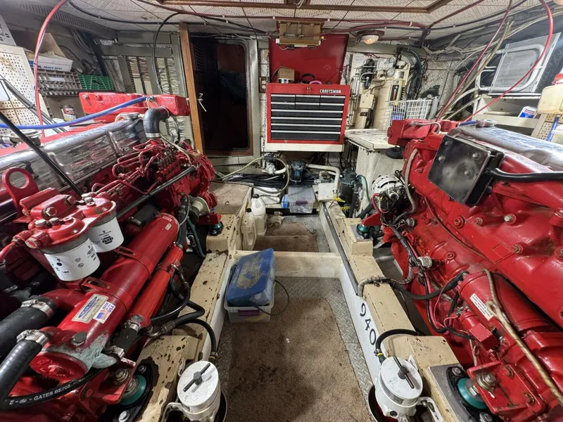 Slide: The Image of DeFever 49 CPMY 1989 - 5685047