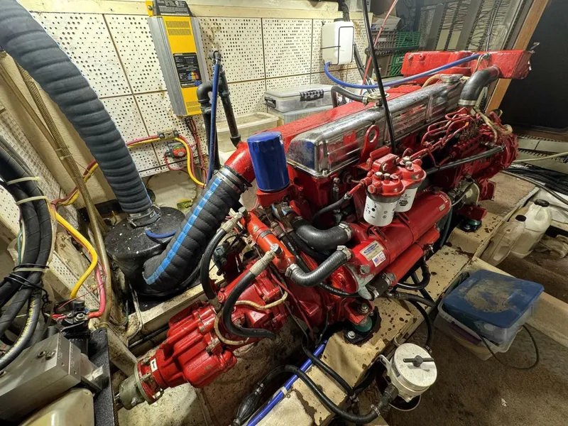 Slide: The Image of DeFever 49 CPMY 1989 - 5685049