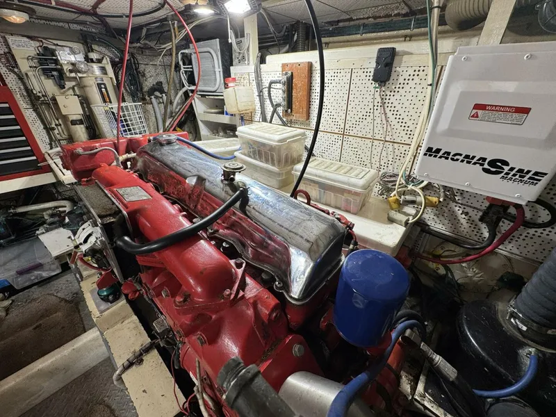 Slide: The Image of DeFever 49 CPMY 1989 - 5685051