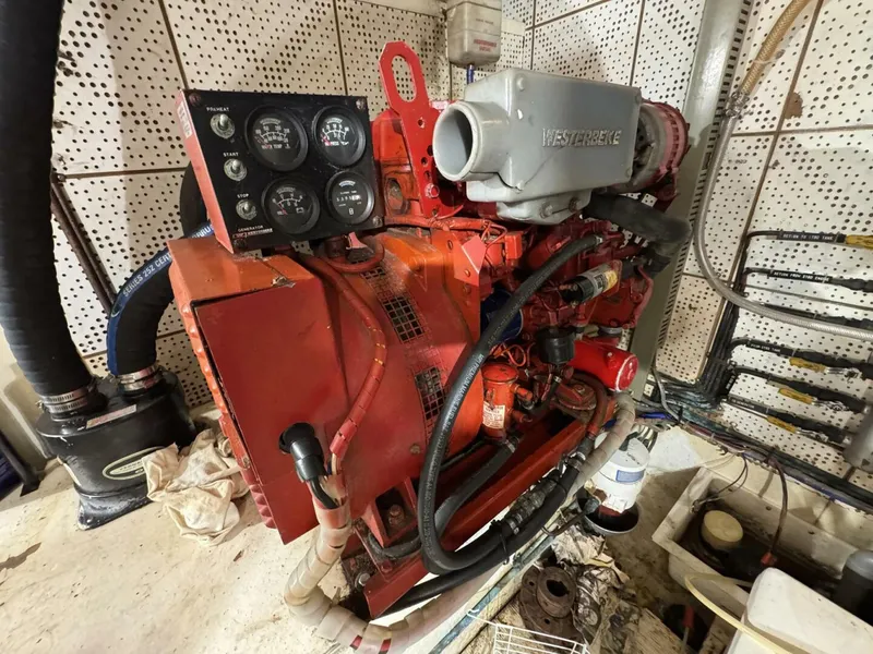 Slide: The Image of DeFever 49 CPMY 1989 - 5685054