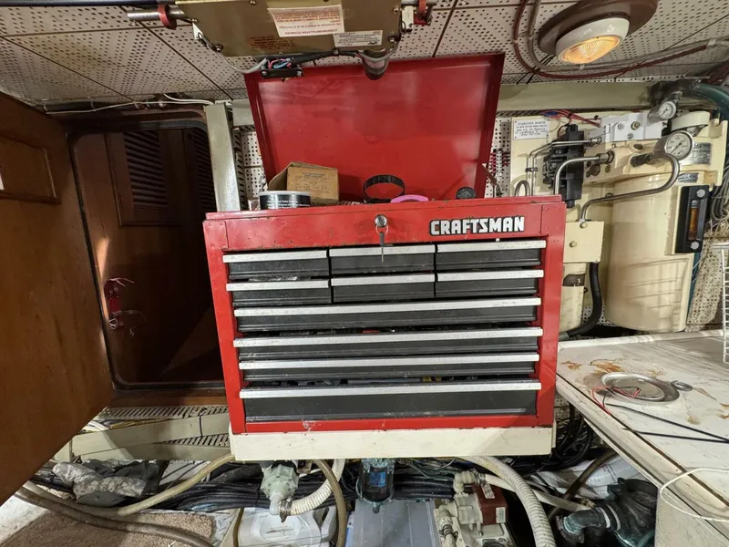 Slide: The Image of DeFever 49 CPMY 1989 - 5685057