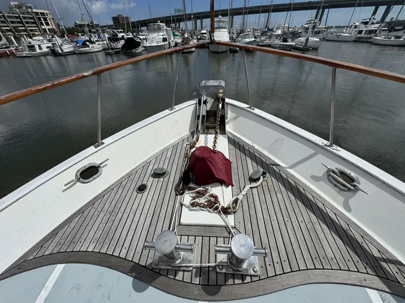 Slide: The Image of DeFever 49 CPMY 1989 - 5684932