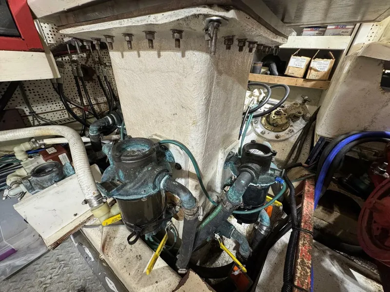 Slide: The Image of DeFever 49 CPMY 1989 - 5685059